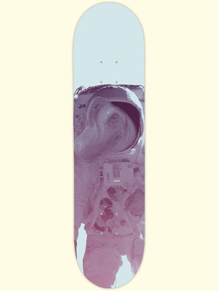 Dinosaurs Board Stiff. - 32